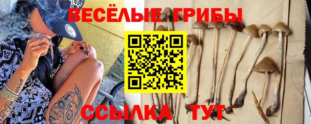 Галлюциногенные грибы GOLDEN TEACHER Шахты