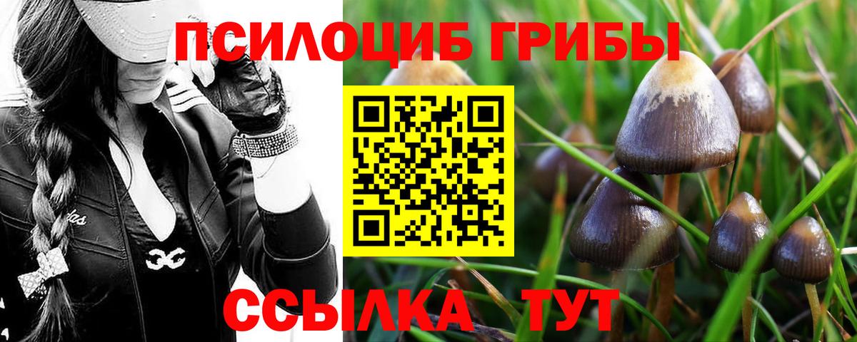 Псилоцибиновые грибы мицелий  Вход с VPN  закладка  Шахты 